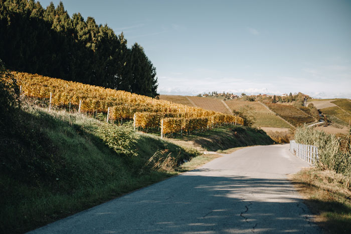 Ghostwriter nelle Langhe | Comunicazione sostenibile