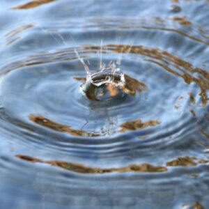 Acqua goccia sasso cambiamento trasformazione archetipo del serpente