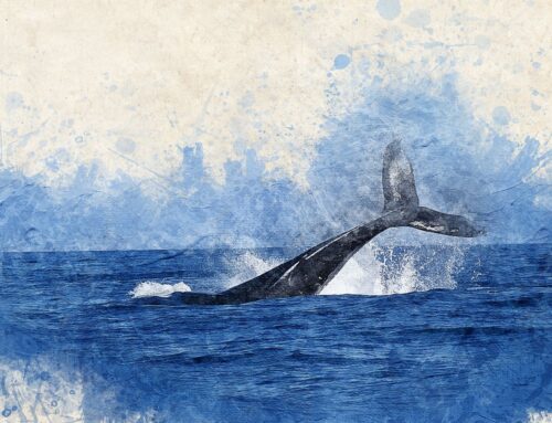 Risveglia il potere delle piccole storie nella comunicazione autentica.