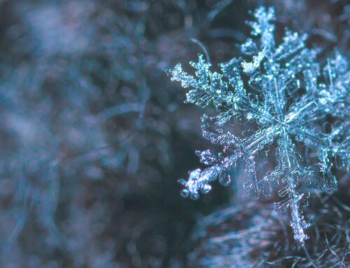 Le ossa della storia: costruisci racconti potenti e senza tempo.